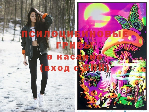 гашик Армянск