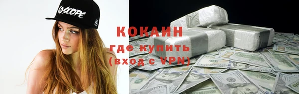 молекула духа Арсеньев