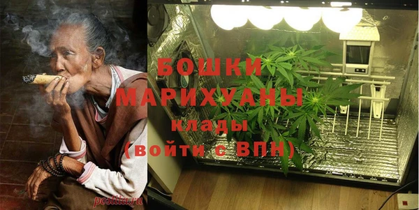 молекула духа Арсеньев