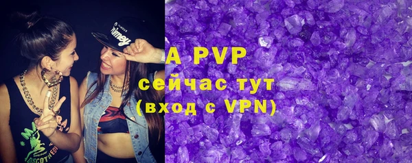 молекула духа Арсеньев